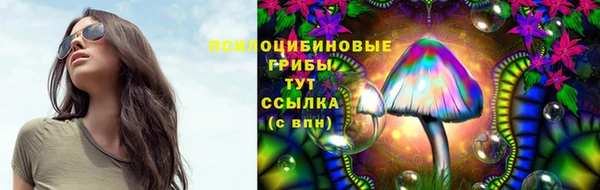 мдпв Переславль-Залесский