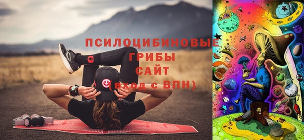 мдпв Переславль-Залесский