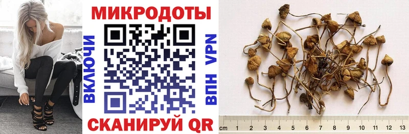 Галлюциногенные грибы прущие грибы наркошоп Тюмень