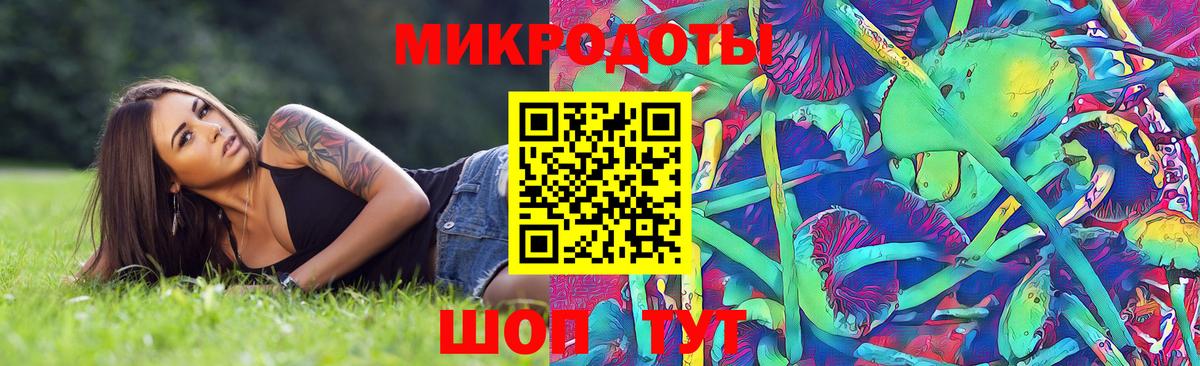 Галлюциногенные грибы Psilocybe  Вход с VPN  Тюмень 